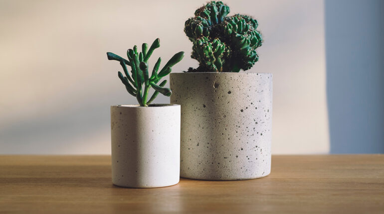 Cactus-maceta-cementos-concrete-plants